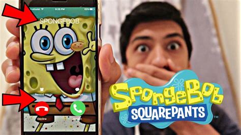 what's spongebob's phone number|spongebob squarepants phone number.